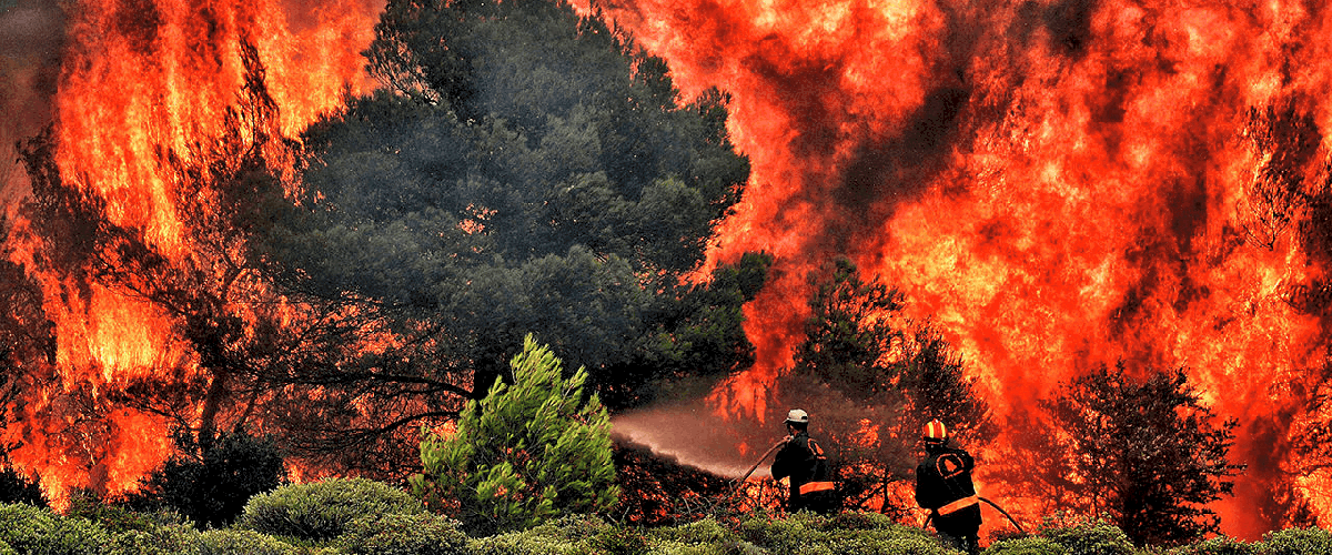 wildfire advice tips how to prepare